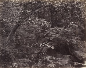Glen i Lynmouth, 1860-talet av Francis Frith