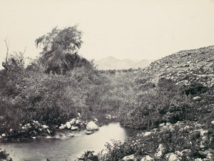 The Fountain of Jerico och den troliga platsen för staden, ca. 1857. av Francis Frith