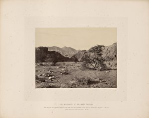 Syndens vildmark (Wady Shellal) av Francis Frith