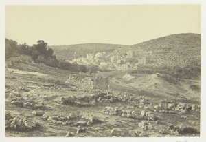 Utsikt över Hebron av Francis Frith