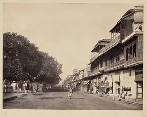 [Calcutta gatuvy]