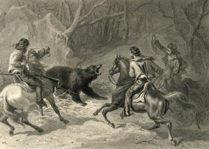 "Native Californians Lassoing a Bear", 1874.