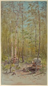 Björkar av Francis Hopkinson Smith