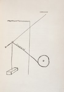 Trollslända av Francis Picabia