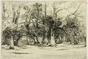En på väg i Tipperary av Francis Seymour Haden