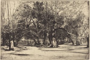 En sidoväg i Tipperary av Francis Seymour Haden