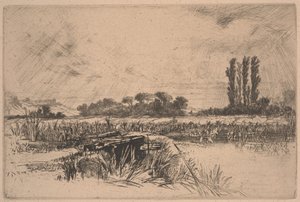A Water Meadow (etsning och torrnål) av Francis Seymour Haden