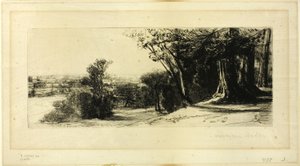 Tidig morgon, Richmond Park av Francis Seymour Haden