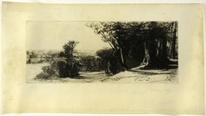 Tidig morgon, Richmond Park av Francis Seymour Haden