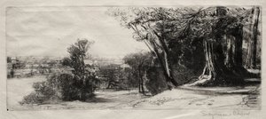Tidig morgon, Richmond Park. av Francis Seymour Haden