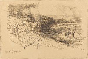 Encombe Woods (nr 1) av Francis Seymour Haden