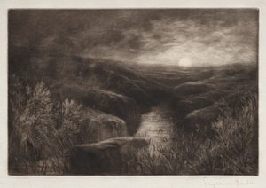 Myggans tillhåll. av Francis Seymour Haden