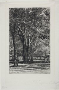 Kensington Gardens, nr II (stor tallrik) av Francis Seymour Haden