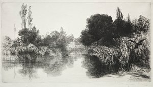 Shere Mill Pond, nr 11 (den stora plattan) av Francis Seymour Haden