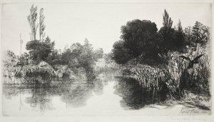 Shere Mill Pond, nr 11 The Large Plate, 1860 och senare.