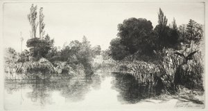Shere Mill Pond The Larger Plate, 1860. av Francis Seymour Haden