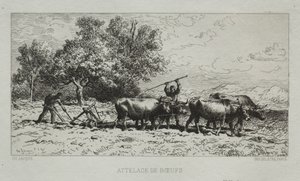 Team av Oxen av Francis Seymour Haden