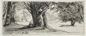 Järnekfältet. av Francis Seymour Haden