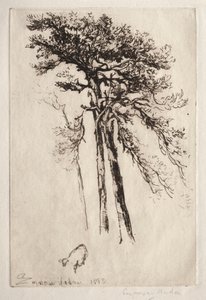 Det senaste trädet av Francis Seymour Haden