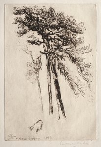 Det senaste trädet, 1882. av Francis Seymour Haden