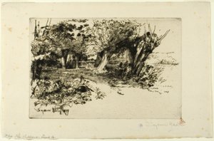 Willows av Francis Seymour Haden