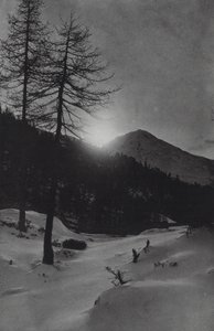 Alperna: nära Obergurgl (s/v foto)