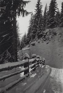 Alperna: Winter Morning, nära St Anton (s/v foto)