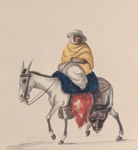 En slaktare som rider på en åsna, från en grupp teckningar föreställande peruansk kostym, ca. 1848.