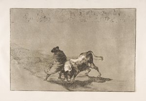 Tavla 14 från Tauromaquia: Den mycket skickliga eleven av Falces, insvept i sin udde..., 1816. av Francisco de Goya