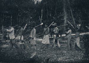 Guarany-indianer, återvänder från en Caþada, 1895
