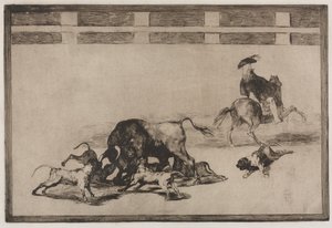 Tjurfäktningar: They Loose Dogs on the Bull, 1876. av Francisco de Goya