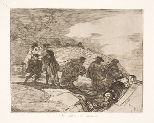 De vet inte var (70) av Francisco de Goya