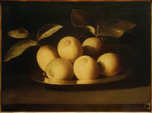 Citroner på en silverplatta