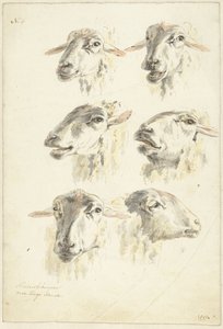 Studieblad med sex fårhuvuden av Franciscus Andreas Milatz (attributed to)