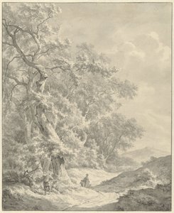 Landskap med vandrare på en stig längs skogen
