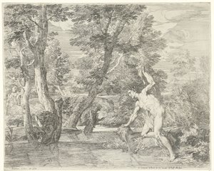 Narciss av Franciscus de Neve