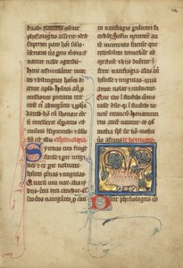 En igelkott från ett bestiarium Ms Ludwig XV 4, fol. 82, c.1280-1300 (tempera, penna och bläck, bladguld och färg på pergament) av Franco Flemish School
