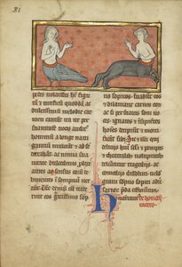 En siren och en kentaur från ett bestiarium Ms Ludwig XV 4, fol. 81v, c.1280-1300 (tempera, penna och bläck, bladguld och färg på pergament)