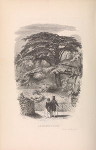 Botaniska trädgården, beskrivningar och seder av däggdjur, 1842. av Francois Boitard