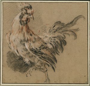Studie av en tupp av François Boucher