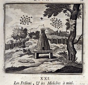 Bålgetingar och honungsflugor. Fabler av Jean de La Fontaine (1621-95). Illustration av Francois Chauveau (1613-1676). Upplaga av 1728. av Francois Chauveau