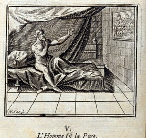 The Man and the Flea.Fables av Jean de La Fontaine (1621-95). Illustration av Francois Chauveau (1613-1676). Upplaga av 1728. av Francois Chauveau
