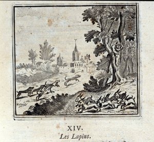 Kaniner. Fabler av Jean de La Fontaine (1621-95). Illustration av François Chauveau (1613-1676). Upplaga av 1728. av Francois Chauveau