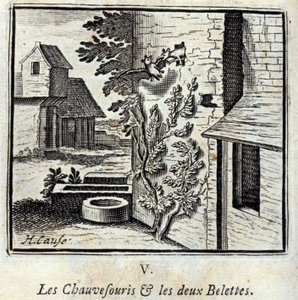 Fladdermusen och de två vesslorna. Fabler av Jean de La Fontaine (1621-95). Illustration av François Chauveau (1613-1676). Upplaga av 1728. av Francois Chauveau