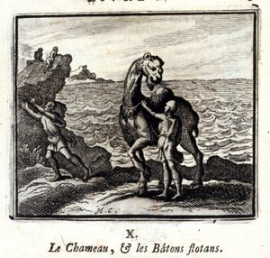 Kamelen och de flytande pinnarna. Fabler av Jean de La Fontaine (1621-95). Illustration av François Chauveau (1613-1676). Upplaga av 1728. av Francois Chauveau