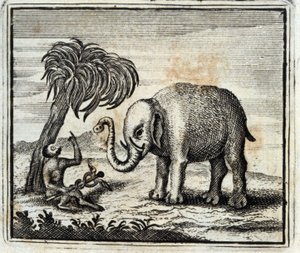 Elefanten och Jupiters apa. Fabler av Jean de La Fontaine (1621-95). Illustration av François Chauveau (1613-1676). Upplaga av 1728.