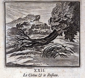 Eken och vassen. Fabler av Jean de La Fontaine (1621-95). Illustration av François Chauveau (1613-1676). Upplaga från 1728. av Francois Chauveau