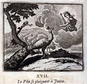 Påfågeln klagar till Junon. Fabler av Jean de La Fontaine (1621-95). Illustration av François Chauveau (1613-1676). Upplaga av 1728. av Francois Chauveau