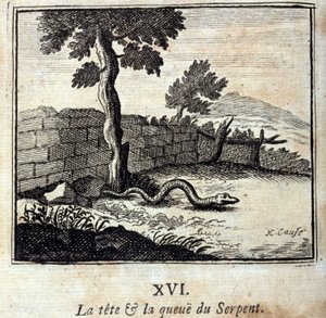 Ormens huvud och svans. Fabler av Jean de La Fontaine (1621-95). Illustration av François Chauveau (1613-1676). Upplaga från 1728. av Francois Chauveau