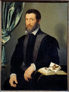 Porträtt av apotekaren Pierre Quthe (1519-après 1588) Målning av Francois Clouet (1515-1572) 1562 Sön. 0,91x0,7 m - Porträtt av apotekaren Pierre Quthe (1519- ca1588). Målning av Francois Clouet (1515-1572) av François Clouet